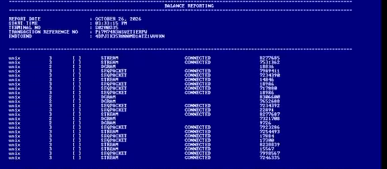 Terminal screen headed BALANCE REPORTING showing rows of unix STREAM CONNECTED sockets